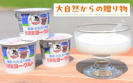 【定期便3回】わたなべ牧場のヨーグルトセット ／ 24個 ×3ヵ月 ヨーグルト 加糖 牧場 生乳 こだわり 甘み 搾りたて 安心 自然派 化学合成物質不使用 定期便 島根県 安来市