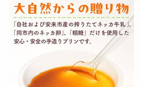 手造りプリン12個セット／ 冷蔵 ネッカ牛乳 ネッカ卵 蒸しプリン ソース別 素朴 デザート スイーツ おやつ グルメ ご褒美 新鮮 生乳 搾りたて 自然派 島根県 安来市