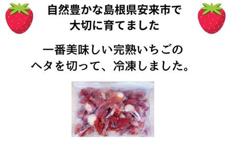 冷凍完熟いちご 1kg【苺 イチゴ 冷凍 果物 フルーツ ミックス 完熟 かおり野 紅ほっぺ よつぼし 甘味 酸味 甘酸っぱい シャーベット スムージー 島根県 安来市 安来市産】