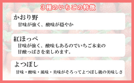 冷凍完熟いちご 1kg【苺 イチゴ 冷凍 果物 フルーツ ミックス 完熟 かおり野 紅ほっぺ よつぼし 甘味 酸味 甘酸っぱい シャーベット スムージー 島根県 安来市 安来市産】