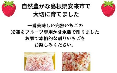 冷凍完熟削りいちご 1kg【 フローズン 苺 イチゴ 島根県 安来市産】