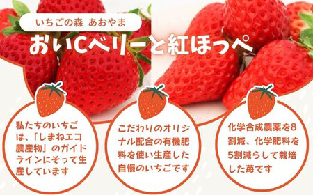 おいCベリーと紅ほっぺの食べ比べセット【約350g×2パック 苺 冷蔵 島根県 安来市】【14-IA-02】