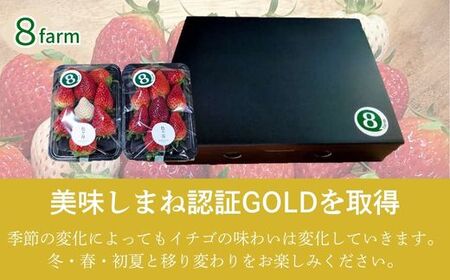 「色々苺」品種盛り合わせパック 品種かわかるメモ付【食べ比べ いちご 約290g×2パック 苺 冷蔵 安来】