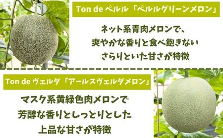 Ton de メロン 1玉 【ペルルグリーンメロン アールスヴェルダメロン 安来】