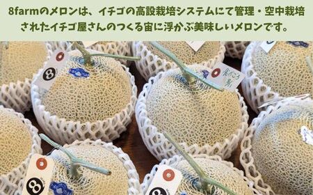 Ton de メロン 1玉 【ペルルグリーンメロン アールスヴェルダメロン 安来】