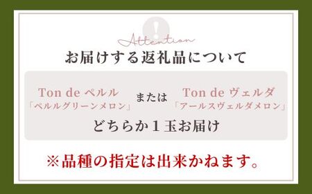 Ton de メロン 1玉 【ペルルグリーンメロン アールスヴェルダメロン 安来】