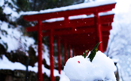 安来市純金記念硬貨 1枚 【記念品 金 純金 24K 24金 ゴールド コイン 硬貨 ギフト 贈り物 ご自宅用 島根県 安来市】【価格改定】