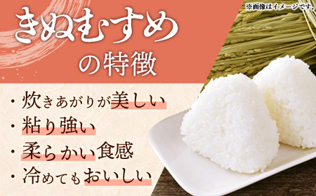 島根米 玄米30kg まとめてお得！ 令和元年 島根県産コシヒカリ100％ 奥出雲 玄米30kg×3袋