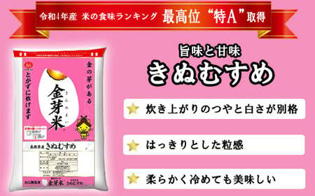 BG無洗米・金芽米きぬむすめ 10kg （5kg×2袋）計量カップ付き【令和7年産 節水 健康 ビタミン ミネラル つや お弁当 おいしい うまみ 甘み ふっくら 簡単 島根県 安来市】