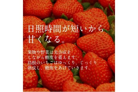 予約受付】いちご 紅ほっぺ 2パックセット | 島根県安来市 | ふるさと