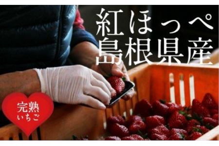 いちご 紅ほっぺ 4パックセット［島根県安来産　完熟イチゴ］【【 先行予約 受付 完熟 苺 島根県産 甘い 人気 特産品 高級 フルーツ デザート 】