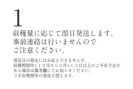 いちご 紅ほっぺ 4パックセット［島根県安来産　完熟イチゴ］【【 先行予約 受付 完熟 苺 島根県産 甘い 人気 特産品 高級 フルーツ デザート 】