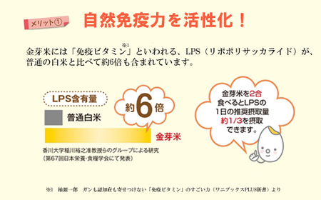 BG無洗米・金芽米きぬむすめ 5kg×6ヵ月 定期便 【毎月】 新米［令和6年産］計量カップ付き　米 BG 無洗米 半年 島根県産 新生活応援 お試し 節水 時短 アウトドア キャンプ 東洋ライス 低カロリー 健康 しまねっこ