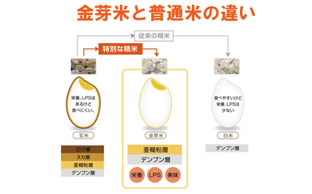 BG無洗米・金芽米にこまる 5kg×6ヵ月 定期便 【毎月】 ［令和5年産］計量カップ付き