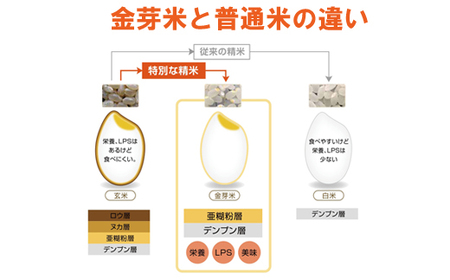 BG無洗米・金芽米きぬむすめ 5kg×3回 定期便 【隔月】 ［令和5年産］計量カップ付き