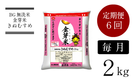 BG無洗米・金芽米きぬむすめ 2kg×6ヵ月 定期便 【毎月】 ［令和5年産］計量カップ無し