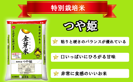 BG無洗米・金芽米つや姫 2kg  新米［令和6年産］計量カップ無し