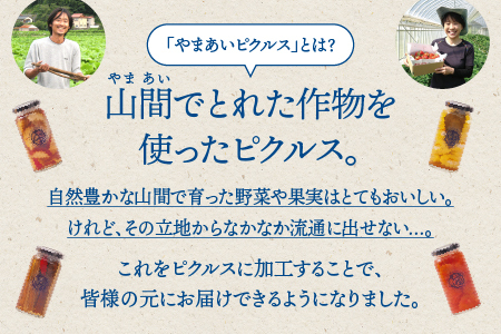 やまあいピクルス 定番４本＋季節１本(おまかせ)【YP-1】｜送料無料 ピクルス ぴくるす 野菜 やさい 果物 くだもの フルーツ 旬 果物 野菜果物 ドレッシング ビネガードリンク ごぼう きゅうり ミニトマト はちみつ 健康 手作り 手作業 常温保存 詰め合わせ セット｜