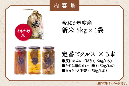 【令和6年度産新米5kg(天日乾燥)】と、やまあいピクルス【定番ピクルス３本セット】【YP-6】｜送料無料 ピクルス ぴくるす 米 新米 お米 野菜 やさい ごぼう きゅうり 生姜 ミニトマト うずら卵 カレー味 常温保存 詰め合わせ セット 贈物 プレゼント｜