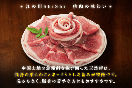 天然猪 江の川shishi 猪モモスライス 鍋用 500g （ 2～3人前 ） いのしし肉 イノシシ肉 猪肉 猪 モモ肉 スライス ジビエ 鍋 猪鍋 ぼたん鍋 AI-5