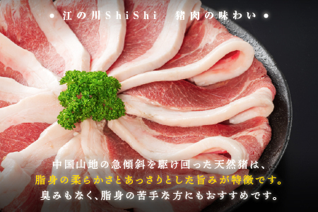 天然猪 江の川shishi 猪モモスライス 焼肉用 500g （ 2～3人前 ） いのしし肉 イノシシ肉 猪肉 猪 モモ肉 スライス ジビエ 焼肉 BBQ AI-6
