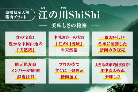天然猪 江の川shishi 猪モモスライス 焼肉用 500g （ 2～3人前 ） いのしし肉 イノシシ肉 猪肉 猪 モモ肉 スライス ジビエ 焼肉 BBQ AI-6