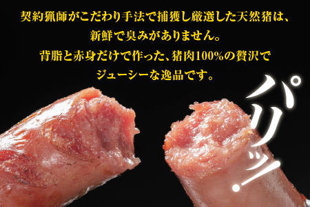 天然猪ソーセージ 1kg前後 いのしし肉 イノシシ肉 猪肉 猪 ジビエ ソーセージ AI-7 江津市 ウインナー ウィンナー 江の川shishi