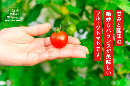 【ギフト】スパルタ生まれの笑ちゃんトマト(200g×6パック入) GC-2