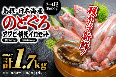 鮮魚セットA 【のどぐろ2～4尾(約600g)・アワビ(約200g×1)・イカ(約300g×3)】計約1.7kg【YM-1】｜送料無料 のどぐろ アワビ イカ 島根 山陰 日本海産 魚介類 魚貝類 貝 海産物 魚 さかな あわび ノドグロ 鮮魚 剣先イカ ヤリイカ 煮付け 焼き魚 刺身｜