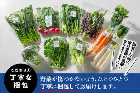 新鮮愛情たっぷり お野菜セット| 野菜 野菜セット 旬野菜セット 6～10品目 野菜セット詰合せ