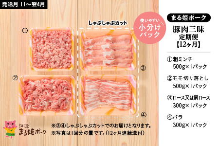 定期便 12ヶ月 まる姫ポーク 豚肉三昧 約1.6kg(肩ロース バラ モモ切り落とし 粗ミンチ) 合計約19.2kg【AK-7】｜送料無料 国産 まる姫ポーク 豚肉 ぶた肉  肉 豚バラ肉 バラ肉 挽肉 ミンチ 切り落とし 焼き肉しゃぶしゃぶ 定期便 小分け パック 江津市｜