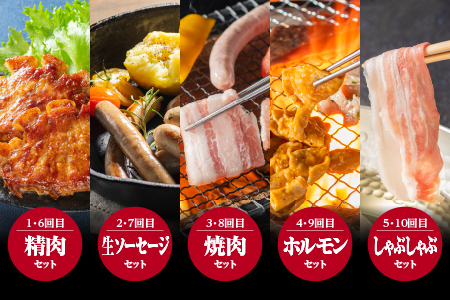【定期便10ヶ月】まる姫ポーク おすすめセット｜豚肉 肉 精肉 ロース バラ モモ ソーセージ しゃぶしゃぶ ホルモン レバー 無添加生ソーセージ しゃぶしゃぶ 焼肉 国産 BBQ バーベキュー AK-9