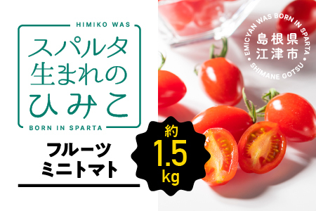 【先行予約】【2024年11月発送】スパルタ生まれのひみこ ミニトマト 約1.5kg入り【GC-10】｜送料無料 スパルタ生まれのひみこ ひみこ ミニトマト フルーツトマト やさい 野菜 サラダ とまと トマト 楕円形 完熟 新鮮 お弁当 贈物 ギフト プレゼント サラダ 産地直送 産地厳選 江津市｜