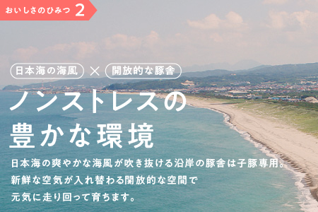 【12/31迄限定寄附額】定期便 10ヶ月 まる姫ポーク 切り落としと粗ミンチ各1.2kg 計2.4kg|豚肉 粗ミンチ 挽肉 小分け 切り落とし ミンチ 切り落とし 小分け パック AK-24
