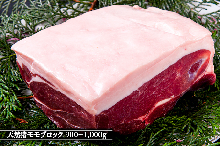 江の川shishi ブロックセット 2.7kg～3kg 猪肉 いのしし肉 イノシシ肉 ジビエ ロース モモ バラ 煮込み用 角煮 焼肉用