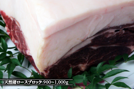 江の川shishi ブロックセット 2.7kg～3kg 猪肉 いのしし肉 イノシシ肉 ジビエ ロース モモ バラ 煮込み用 角煮 焼肉用