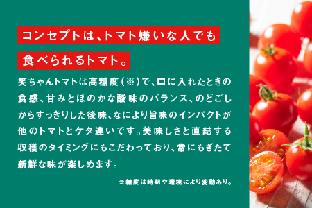 【ふるさと納税】【先行予約】【2024年11月発送】スパルタ生まれの笑ちゃんフルーツトマト約1kg＆トマトジュース180g×5本セット【GC-21】｜送料無料 フルティカ ミニトマト フルーツトマト トマトジュース 無添加 無塩 健康 野菜 トマト お弁当 贈物 サラダ 産地直送 江津｜