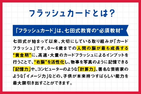 江津市限定返礼品 七田式ドッツセット 【SC-55】｜送料無料 しちだ 七田式 右脳 記憶力 カード 幼児 計算力 フラッシュカード 子育て 教育 教材 教材セット 勉強 こども 子ども キッズ 知育 学べる セット トレーニング 知育トレーニング プレゼント｜