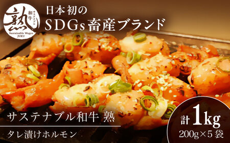 牛肉 サステナブル和牛 熟 タレ漬けホルモン5P 200g×5袋 計1キロ [AIAT019] 牛肉