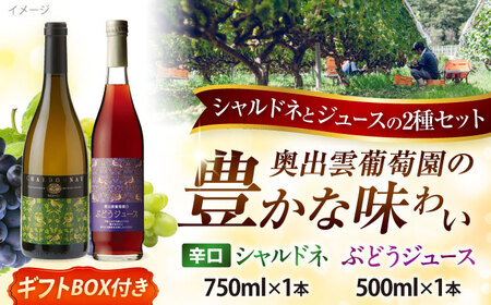 ワイン 【ギフト包装】シャルドネ（白ワイン）・ぶどうジュースセット [AICS028]