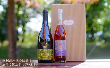 ワイン 【ギフト包装】シャルドネ（白ワイン）・ぶどうジュースセット [AICS028]