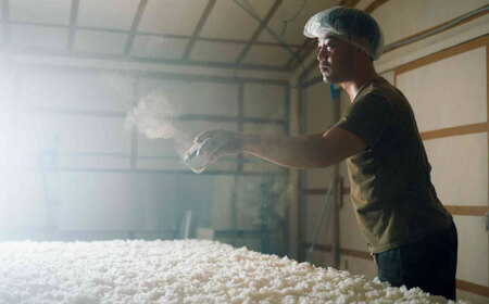 酒【先行予約】【10個限定】【2026年2月初旬順次発送】純米吟醸 酵母901号＆酵母1801号 720ml×2本セット(化粧箱入り)[AIBE001] 酒