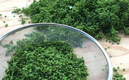 ジャコ 奥出雲山椒ジャコみそ2個・山椒オリーブオイル1本セット[AIAF005] ジャコ