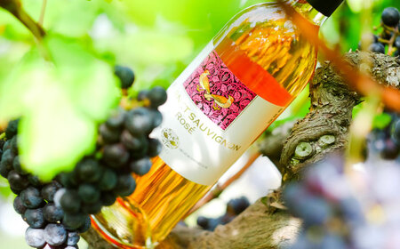 ワイン カベルネソーヴィニヨン・ロゼ 3本セット[AICS022] ワイン