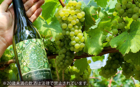 ワイン 尺の内農園ワイン シャルドネ 2本セット [AIBU003] ワイン
