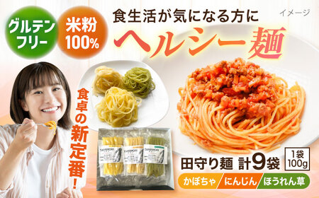 麺 グルテンフリー米粉100％麺　田守り麺彩りセット  [AICU001] 麺