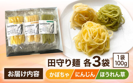 麺 グルテンフリー米粉100％麺　田守り麺彩りセット  [AICU001] 麺