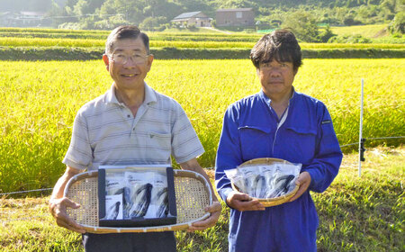 麺 グルテンフリー米粉100％麺　田守り麺彩りセット  [AICU001] 麺