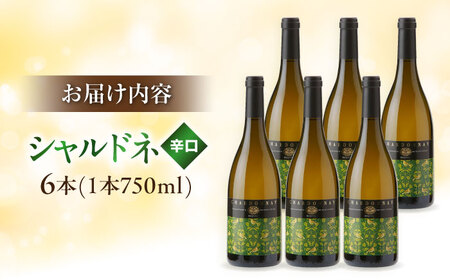 ワイン シャルドネ 6本セット[AICS018] ワイン