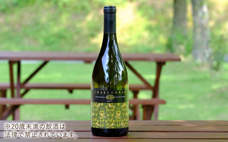 ワイン 白/赤ワイン・木次乳業チーズセット（シャルドネ・杜のワイン赤） [AICS008] ワイン